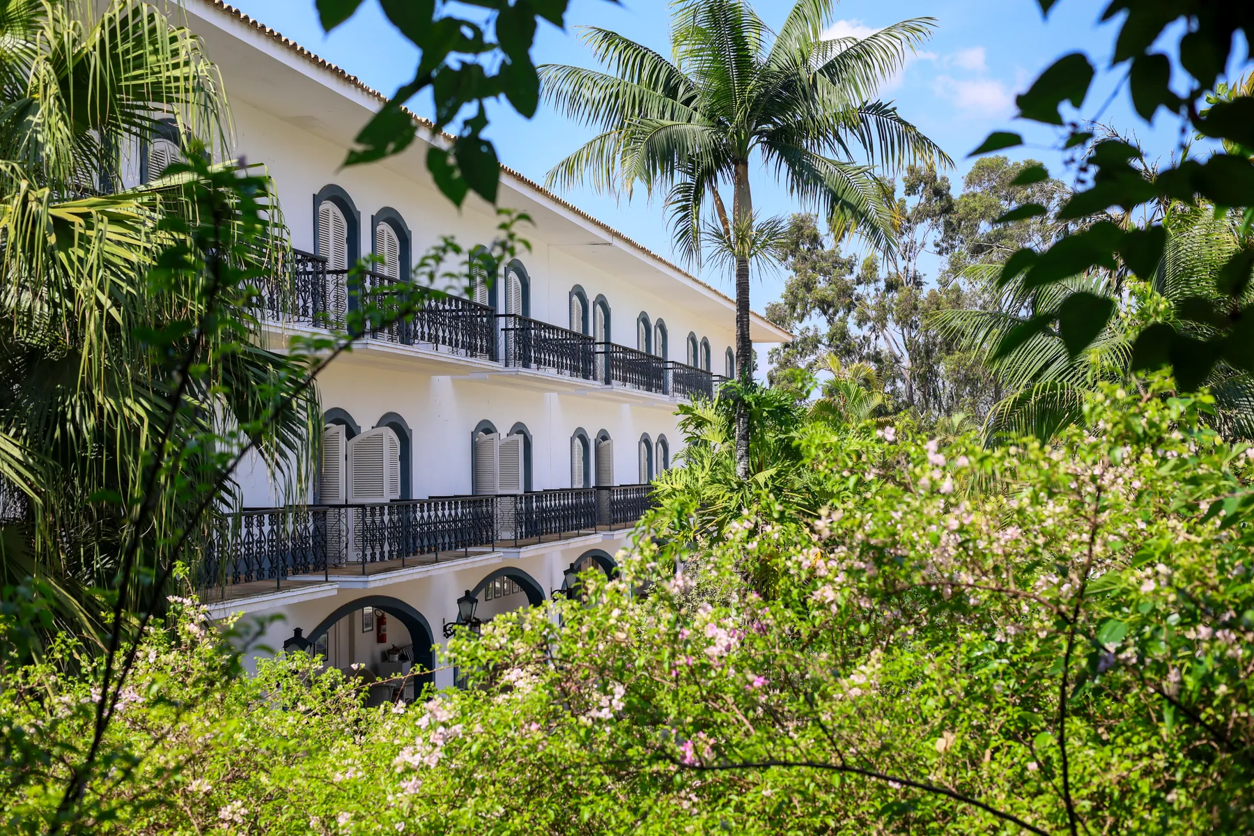 Chegada ao Tera Resort Itu entre árvores